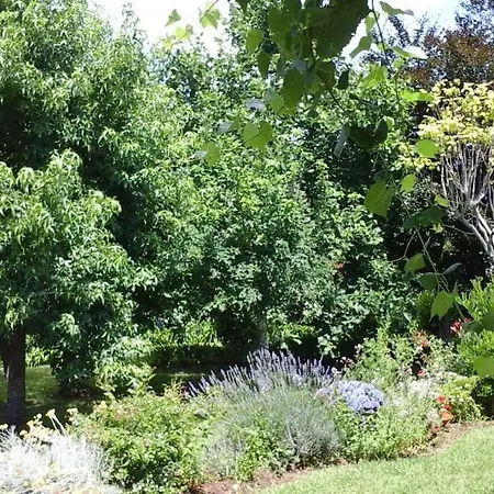 Un Pequeño Paraiso Rosal